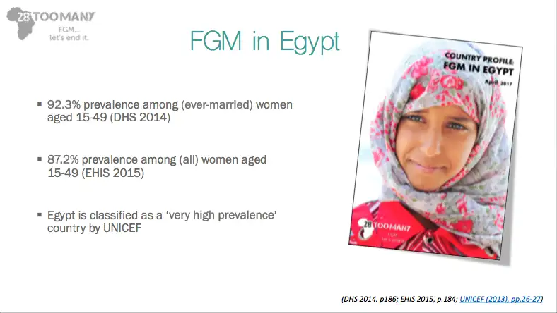 Presentation: FGM in Egypt (2017, English)